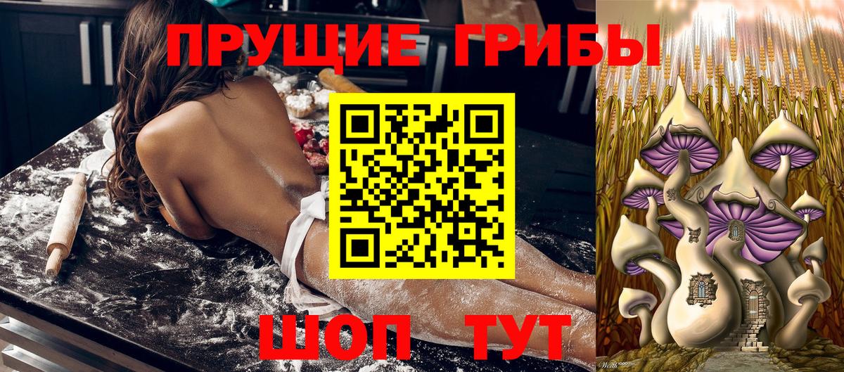 Кимовск  Псилоцибиновые грибы Cubensis  Вход с VPN  Галлюциногенные грибы прущие грибы 